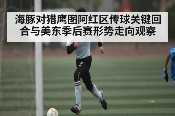 海豚对猎鹰图阿红区传球关键回合与美东季后赛形势走向观察